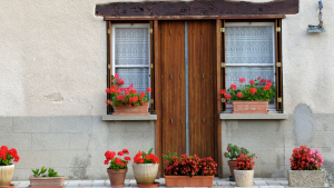 Things to do in Villeneuve-d’Ascq