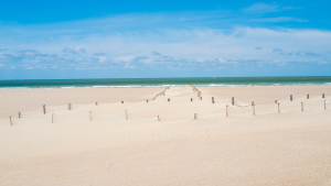 Descubre las mejores excursiones desde Lille, Francia