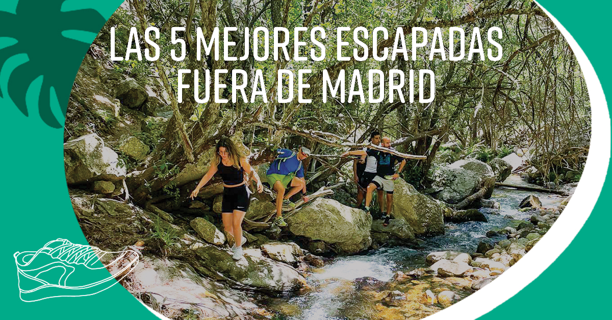 Day trips in Madrid