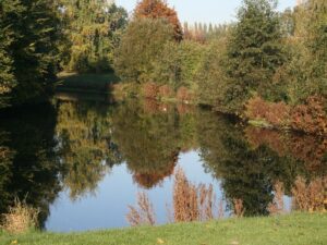 Découvrez La Maillerie à Villeneuve-d'Ascq