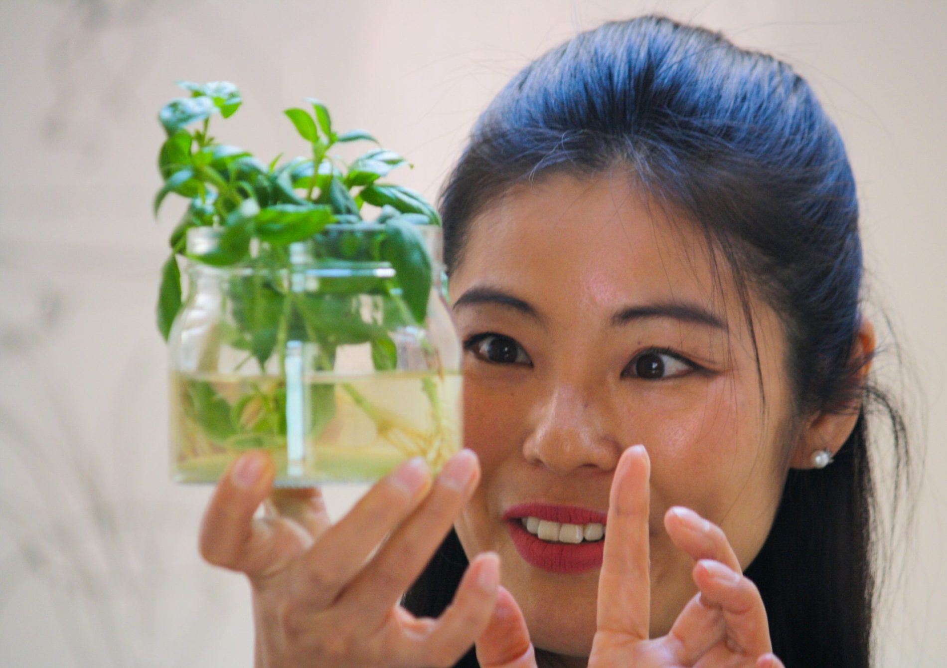 Mizuku - Un projet de jardin aéroponique par notre Communauté
