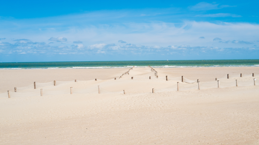 Descubre las mejores excursiones desde Lille, Francia