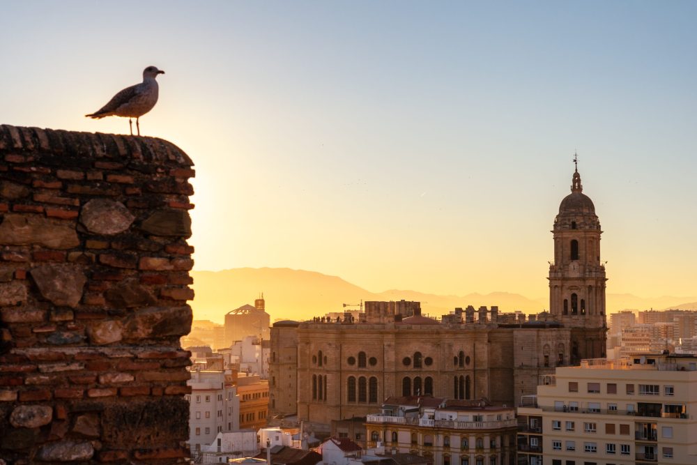 Vista de la catedral de Málaga al atardecer